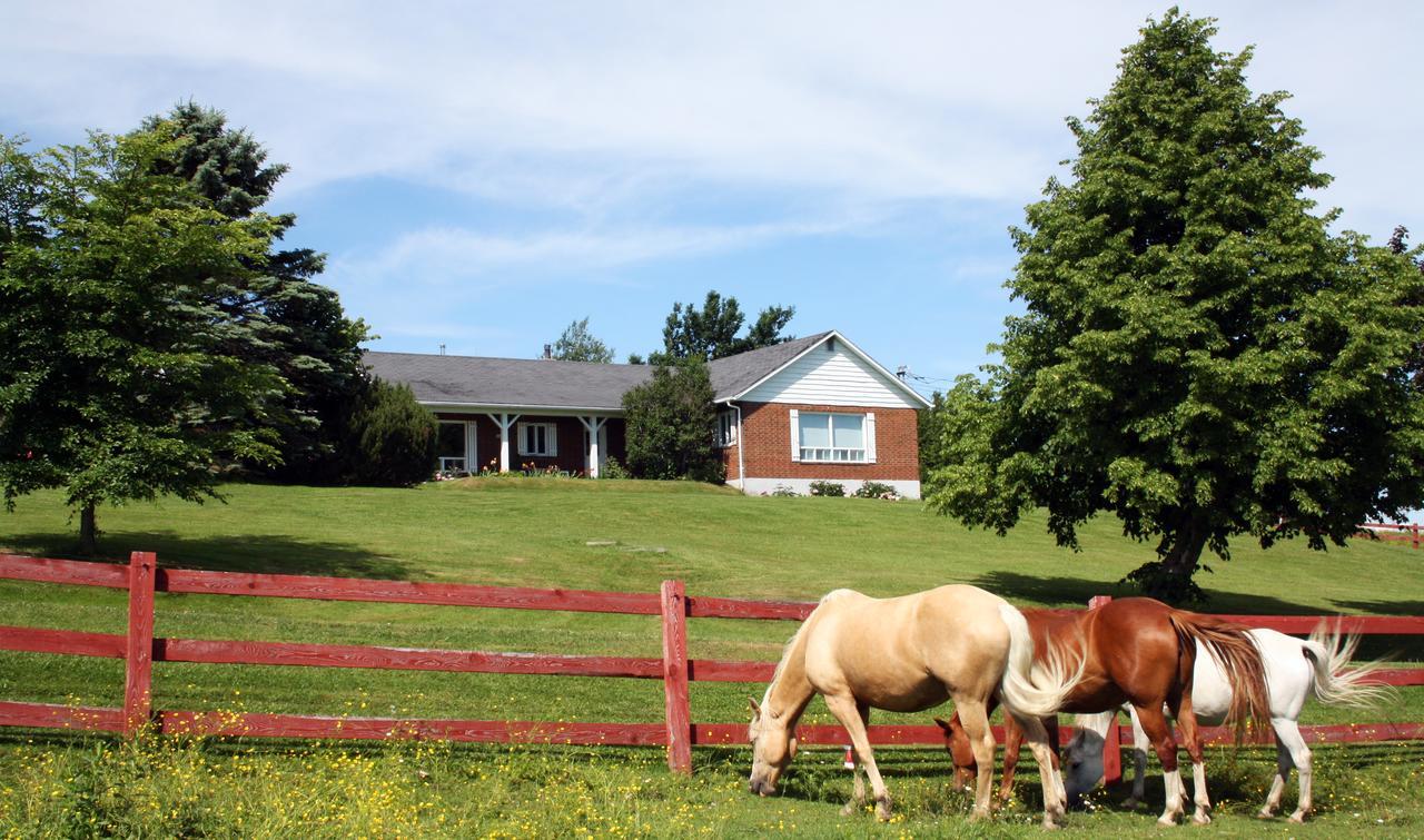 Ranch St-Hubert Bed & Breakfast Saint-Hermenegilde Dış mekan fotoğraf